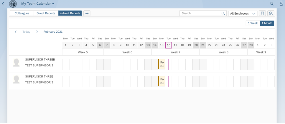 My Team Calendar window with Direct Reports tab selected