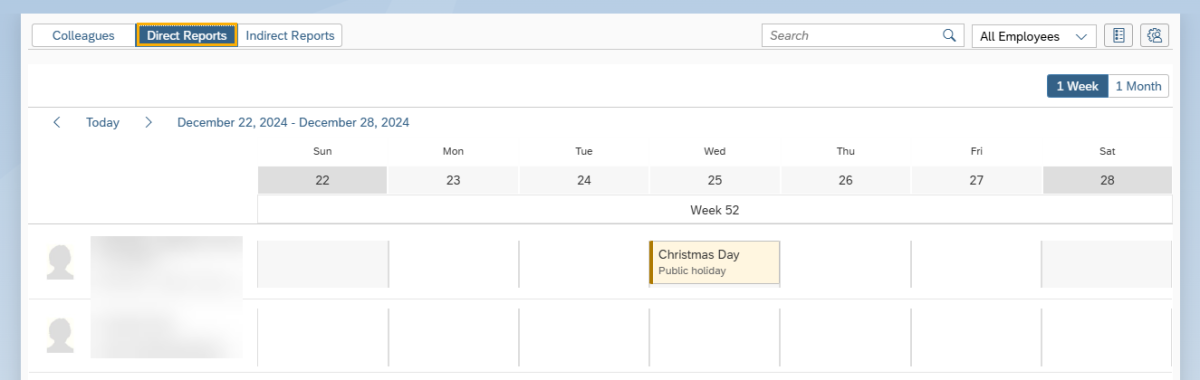 My Team Calendar window with Direct Reports tab selected